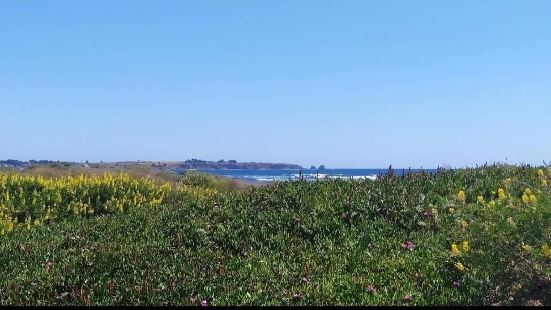 Saldemar Playa Hermosa Pichilemu Extérieur photo